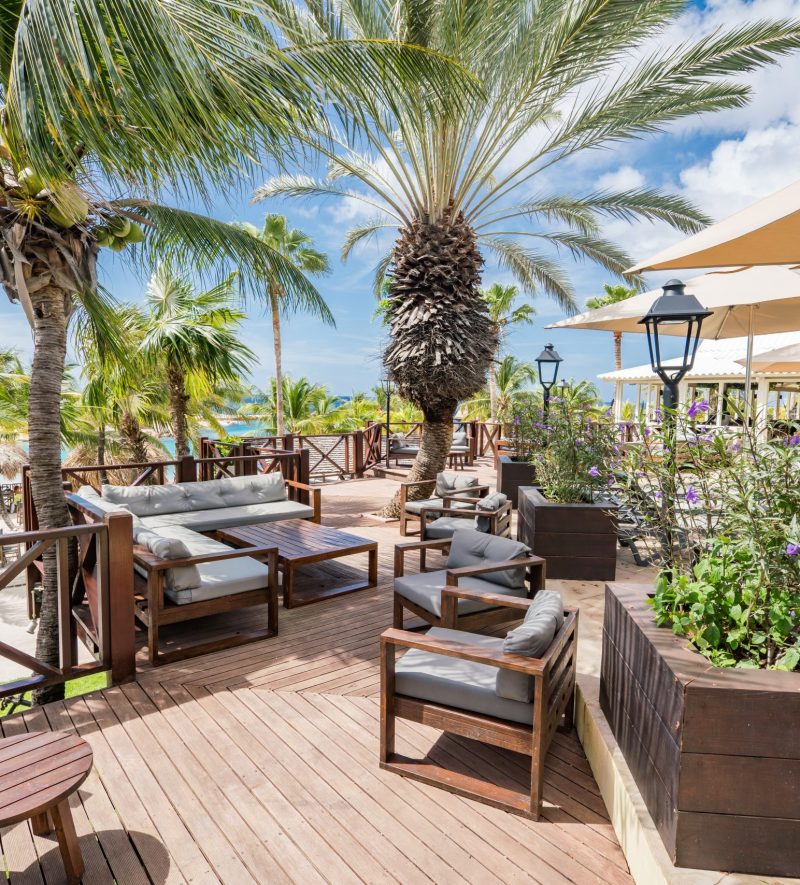 tropical-resort-with-palm-trees-and-outdoor-furnit-2026-03-26-02-24-32-utc